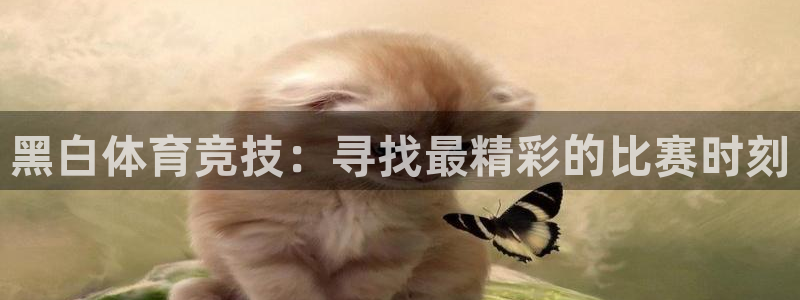 321体育直播五大联赛