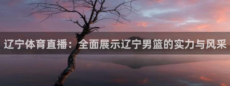 321看球直播免费高清观看