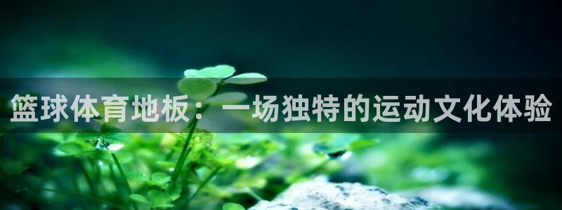 321体育免费下载安装最新版本