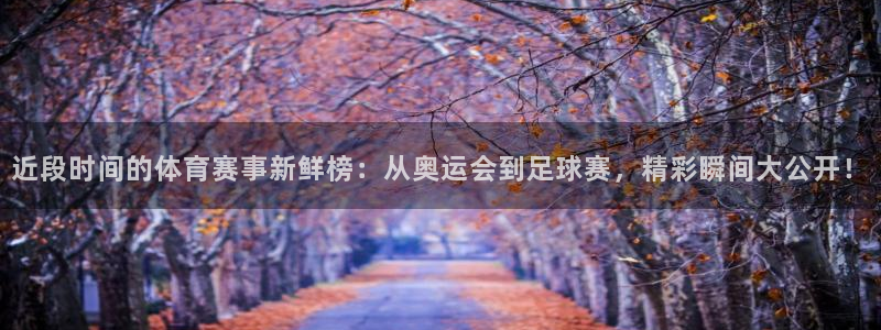 321体育直播在线观看
