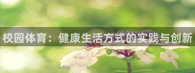321nba免费直播高清观看：校园体育：健康生活方式的实践与创新